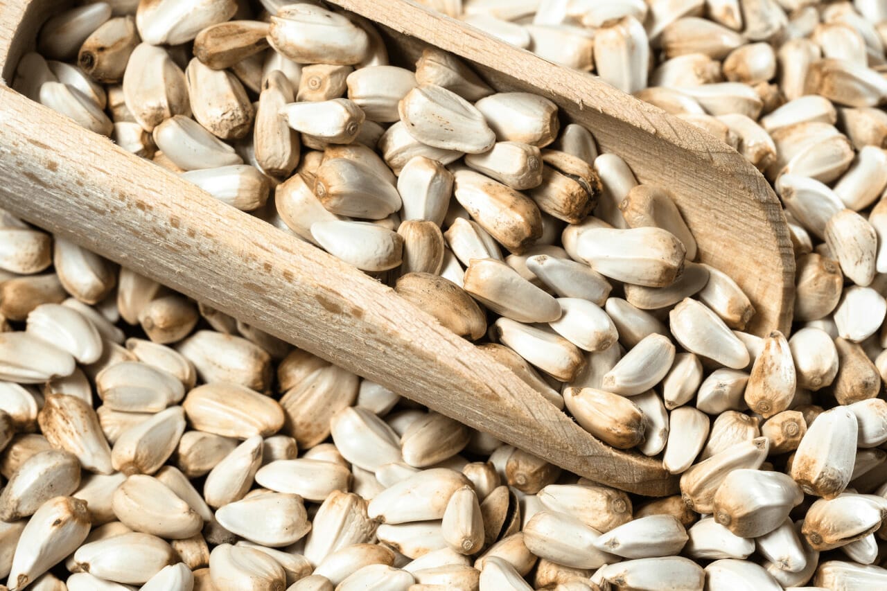 What Birds Eat Safflower Seeds What Birds